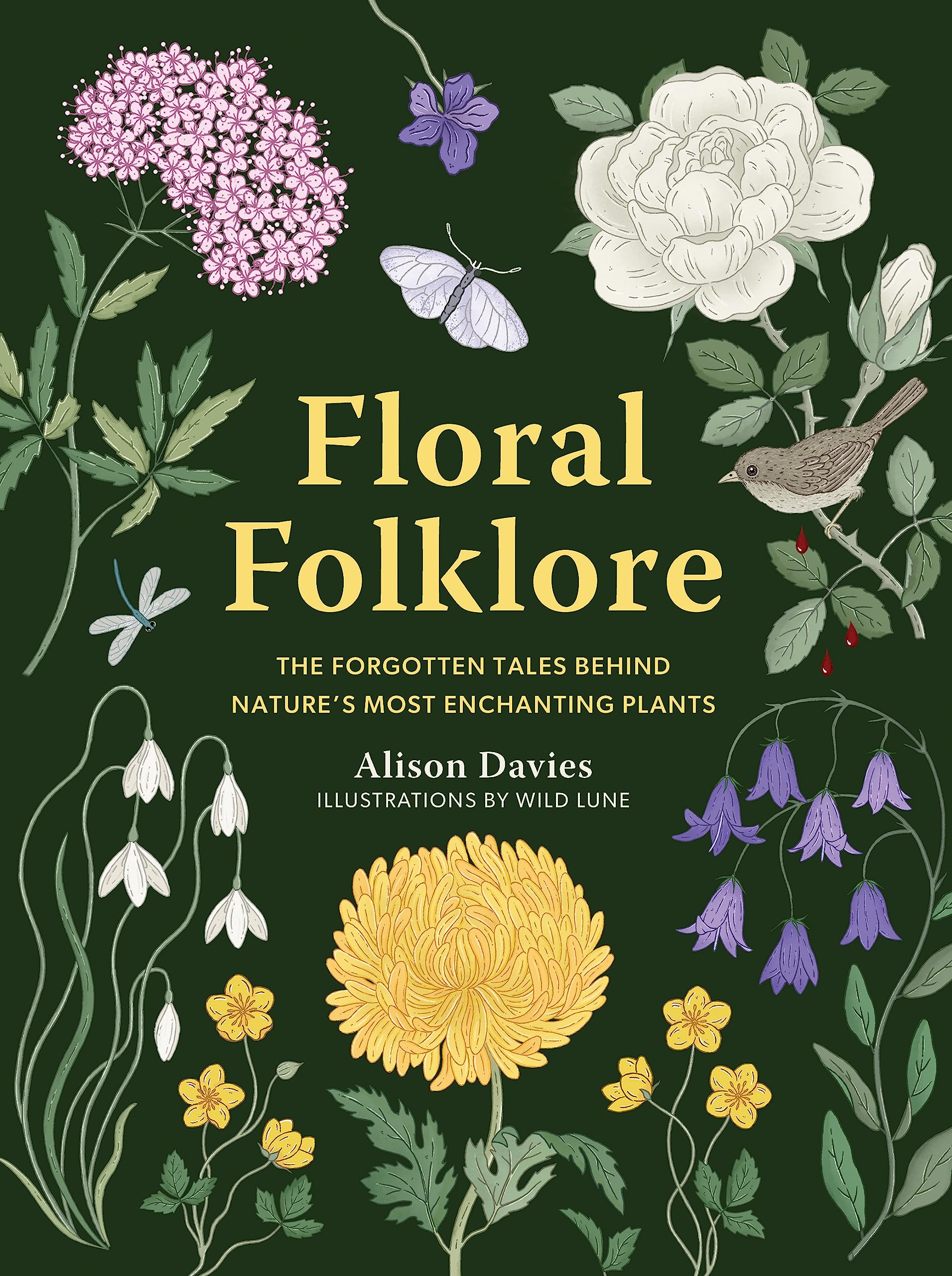 Floral Folklore: The Forgotten Tales Behind Nature’s Most Enchanting Plants (Hardcover)