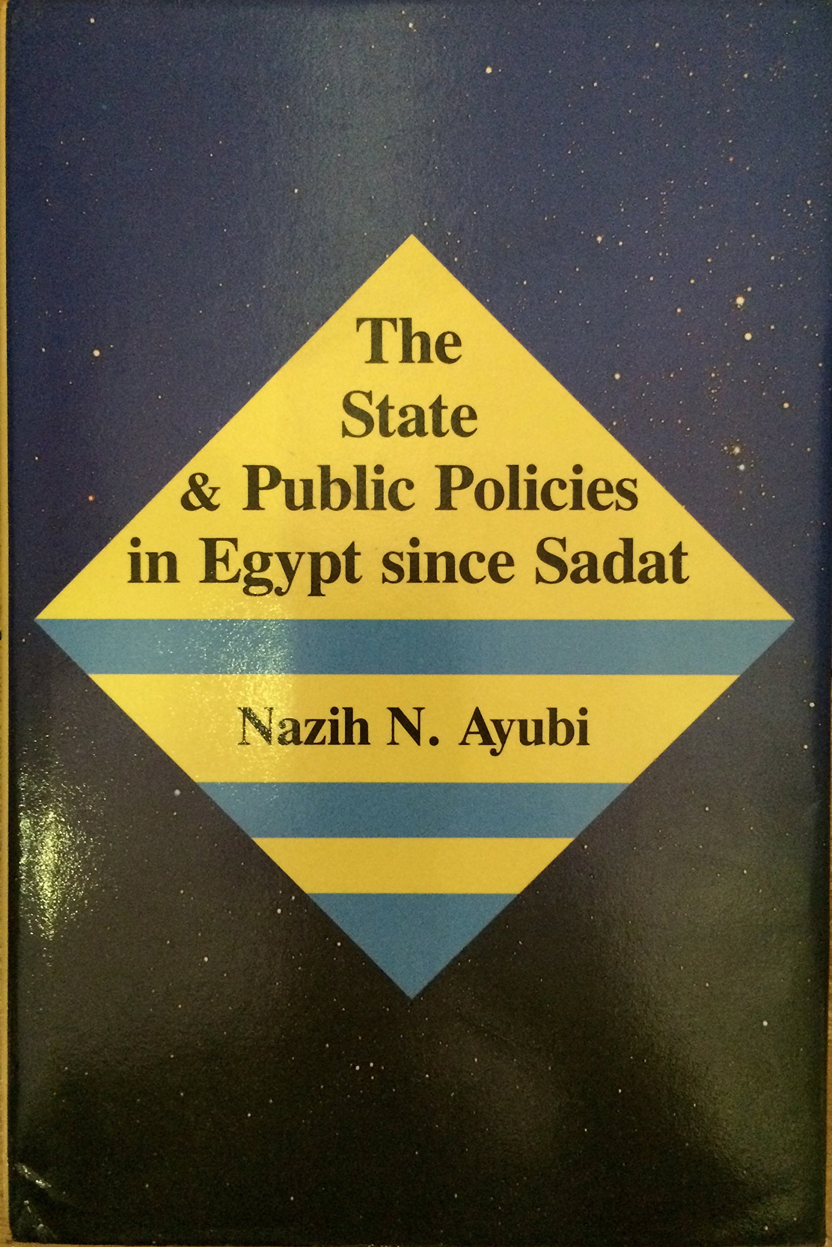 The State and Public Policies in Egypt Since Sadat (Political Science of the Middle East)