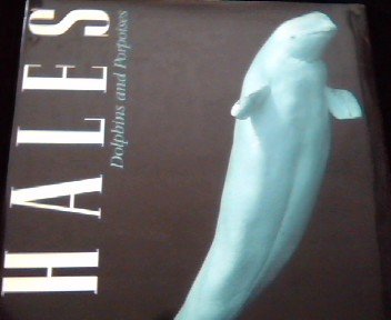 Whales: Dolphins and Porpoises (Hardcover)