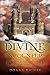Divine Encounters by Rigney, Donna (2013) Paperback