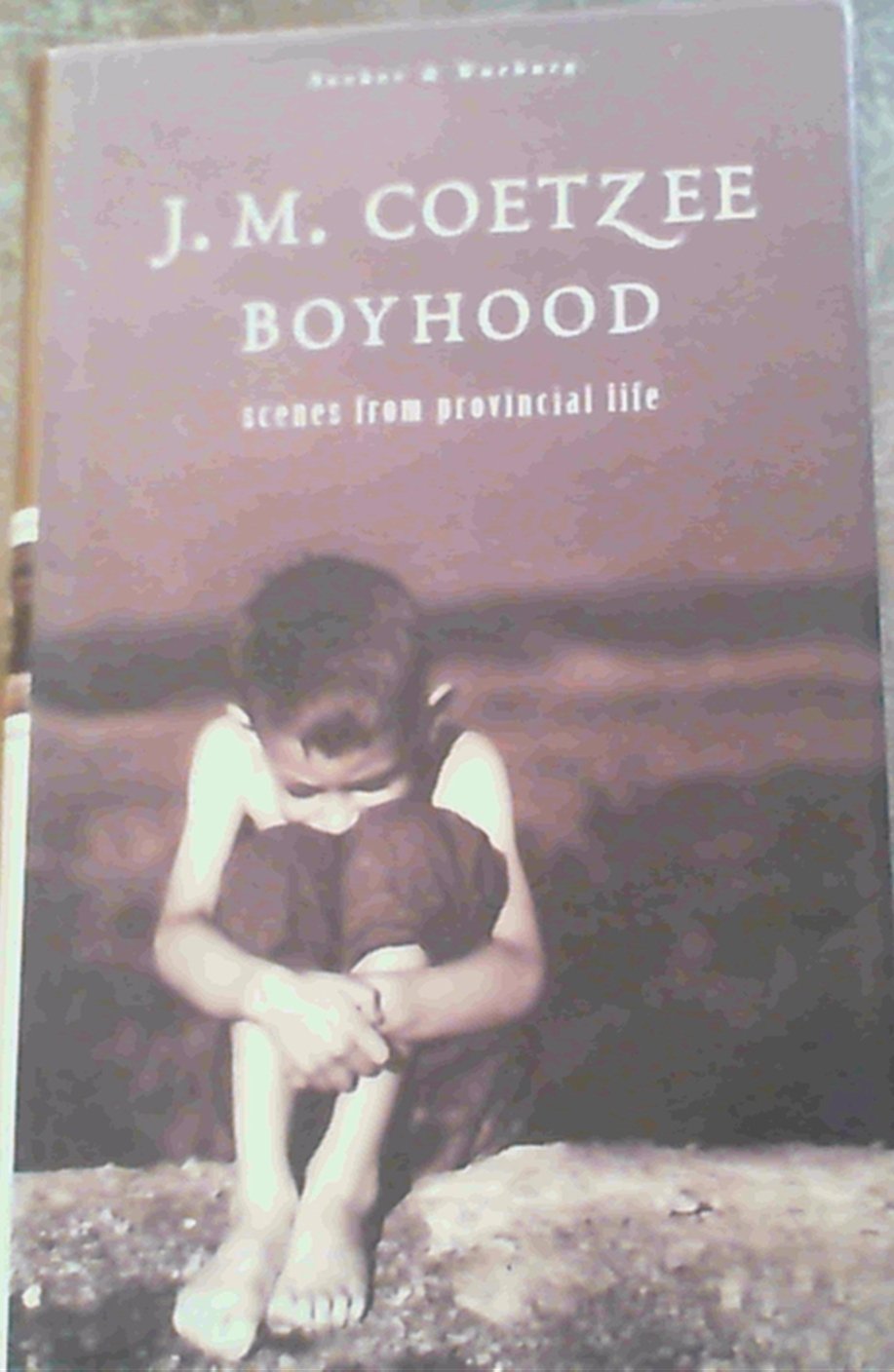 Boyhood: Scenes from Provincial Life