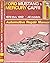 Ford Mustang and Mercury Capri Automotive Repair Manual: All Ford Mustang and Mercury Capri Models 1979 Through 1992 (Haynes Automotive Repair Manual Series)