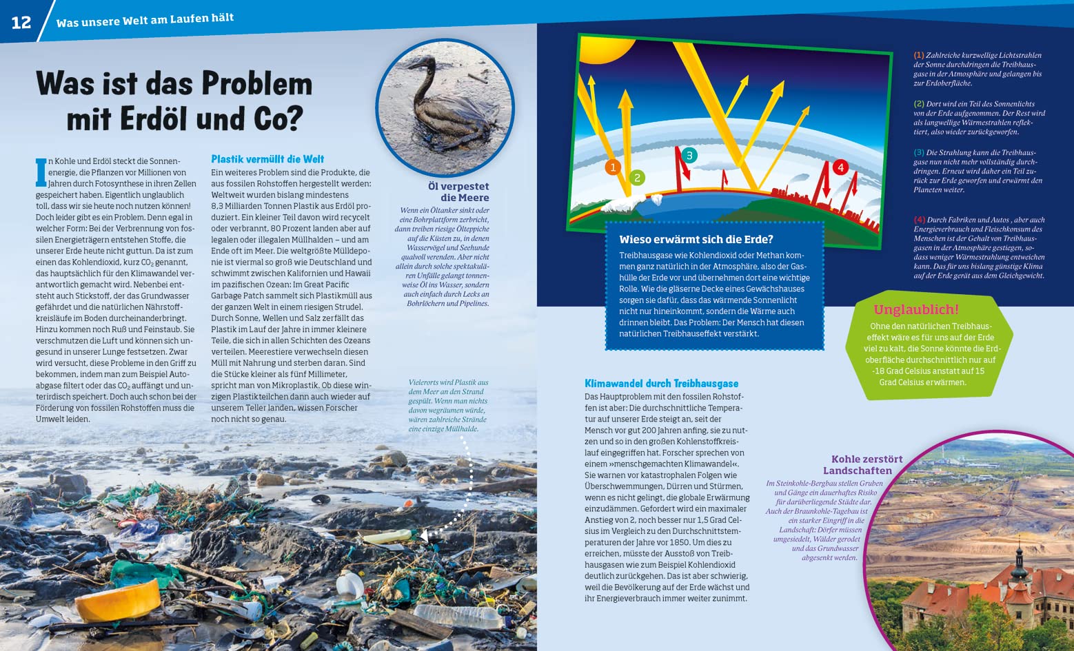 WAS IST WAS Band 142. Nachwachsende Rohstoffe. Mit Pflanzen-Power in die Zukunft (Hardcover)