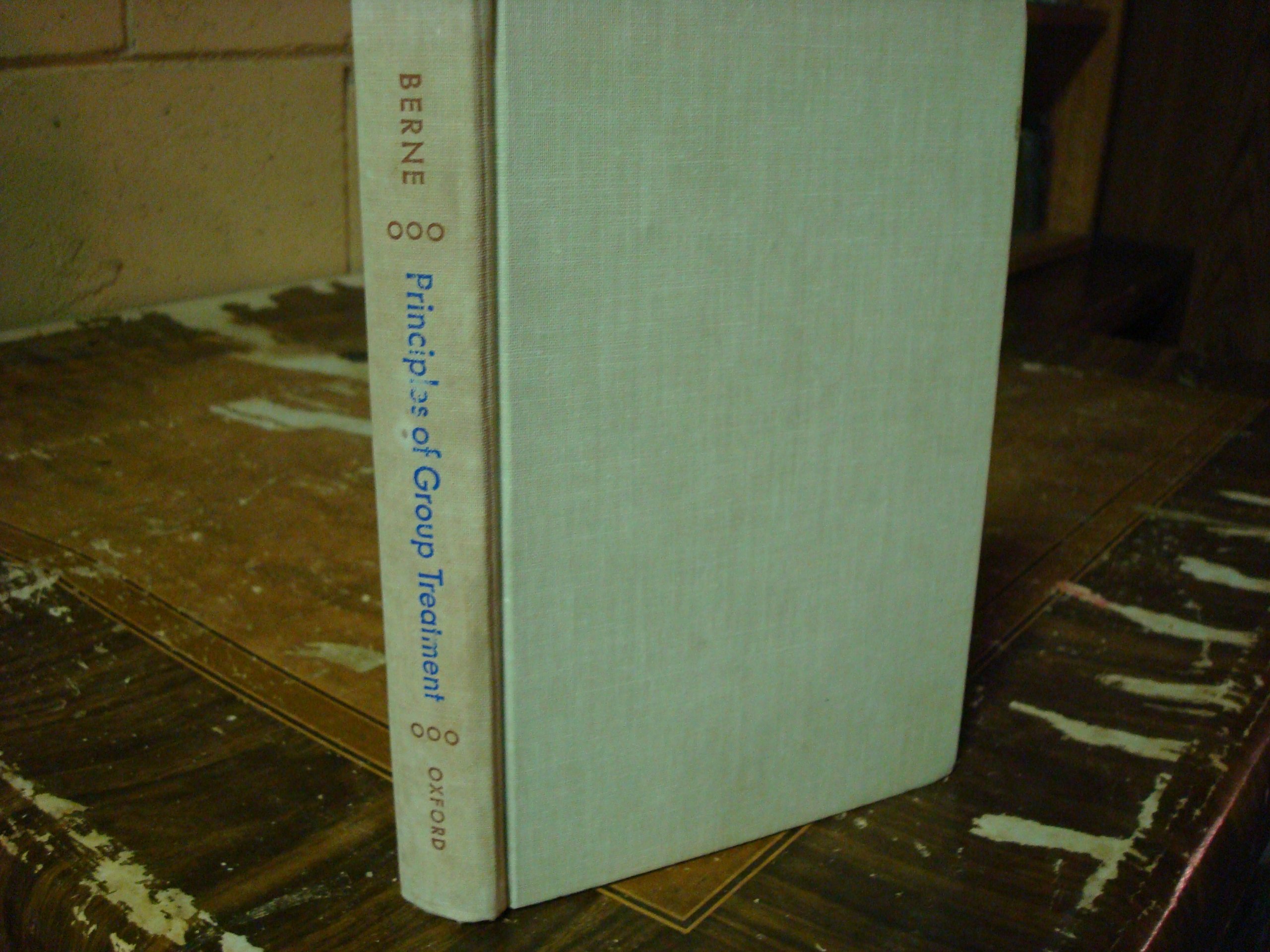 Principles of Group Treatment (Paperback)