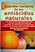 El poder curativo de los antiácidos naturales by Norbert Treutwein