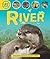 Life Cycles: River by Sean Callery (2012-03-27)