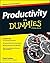 Productivity For Dummies by Ciara Conlon (2016-03-21)