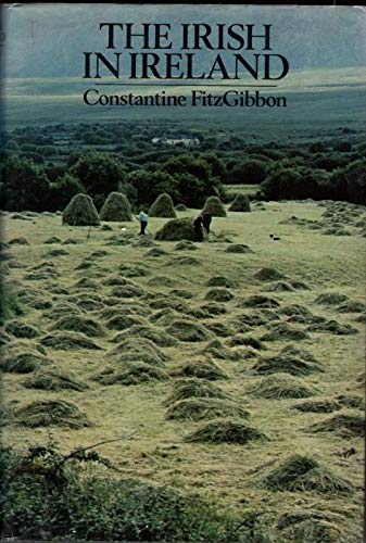 The Irish in Ireland (Hardcover)