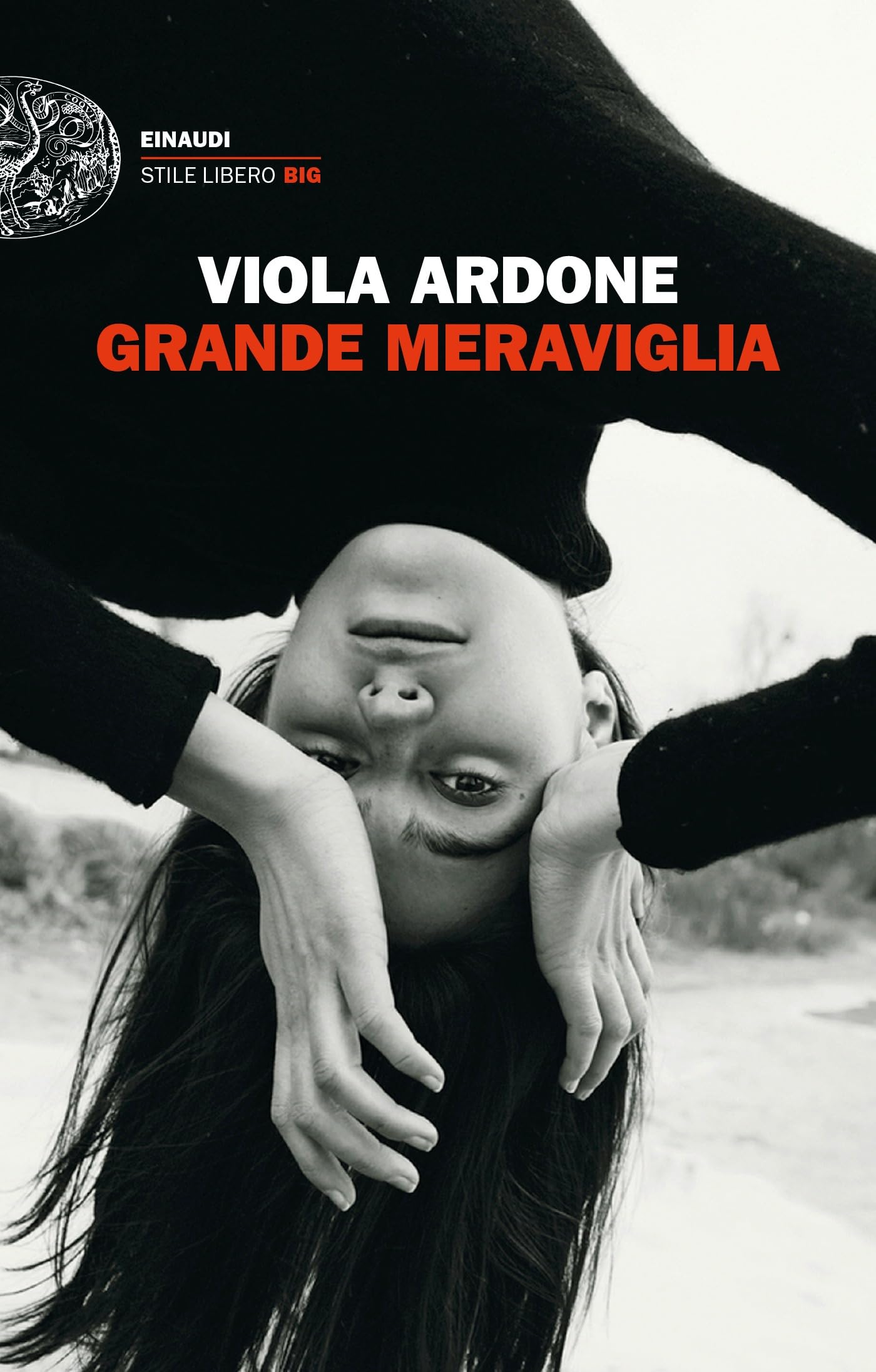 Grande meraviglia (ebook)