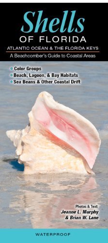 Shells of Florida-Atlantic Ocean & Florida Keys: A Beachcomber's Guide to Coastal Areas by Jeanne L. Murphy and Brian W. Lane (2012) Pamphlet