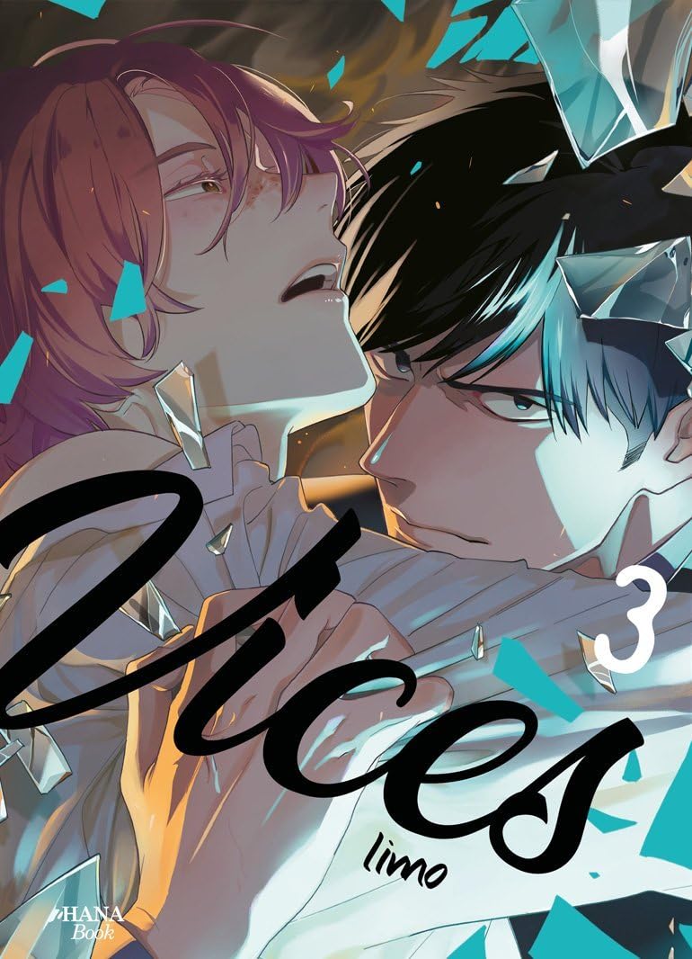 Vices - Tome 03 (Paperback)