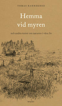 Hemma vid myren (Hardcover)