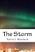 The Storm by Kevin L Murdock (2014-11-02)