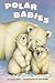 Polar Babies