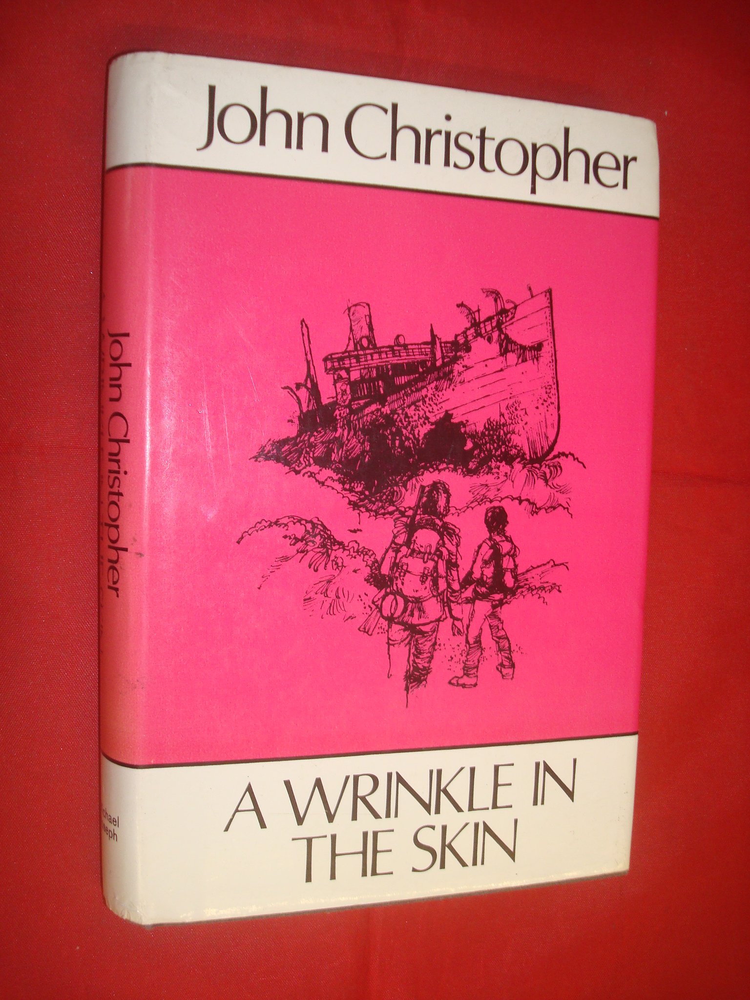 A wrinkle in the skin