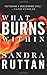 What Burns Within by Sandra Ruttan (2008-05-01)