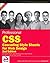 Professional CSS: Cascading Style Sheets for Web Design by Christopher Schmitt (2008-05-12)