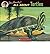 All About Turtles