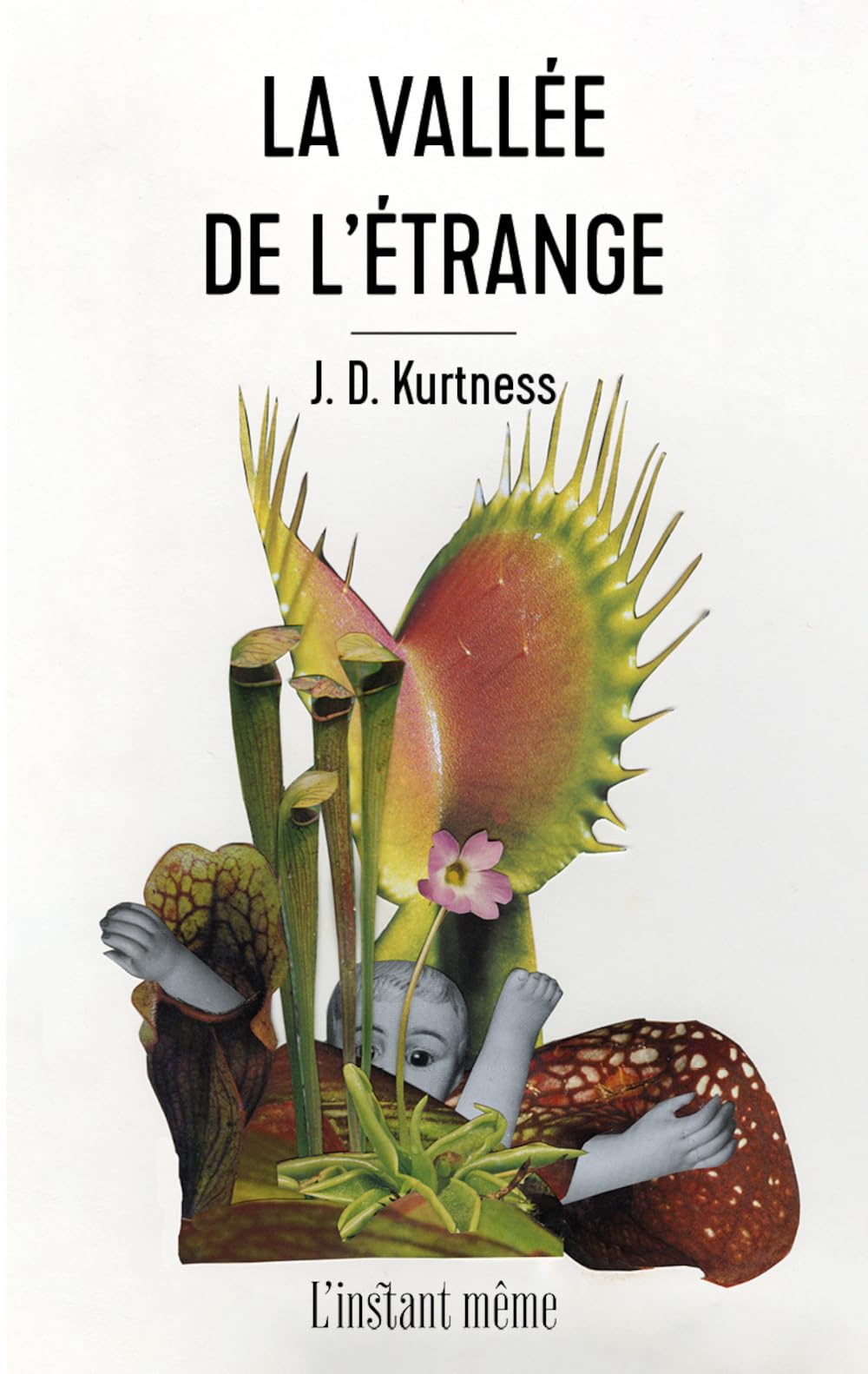 La Vallée de l'étrange (Paperback)