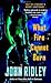 What Fire Cannot Burn by John Ridley (1-Jun-2005) Mass Market Paperback