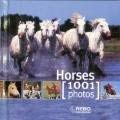 1001 Photos Cubebook Horses (Paperback)