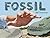Fossil by Thomson, Bill (2013) Hardcover