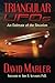 Triangular UFOs by David Marler