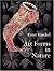 Art Forms in Nature: The Prints of Ernst Haeckel (Monographs) by Ernst Haeckel, Olaf Breidbach, Richard Hartmann, Irenaeus Ei (8/25/2008)