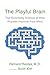 The Playful Brain: The Surprising Science of How Puzzles Improve Your Mind