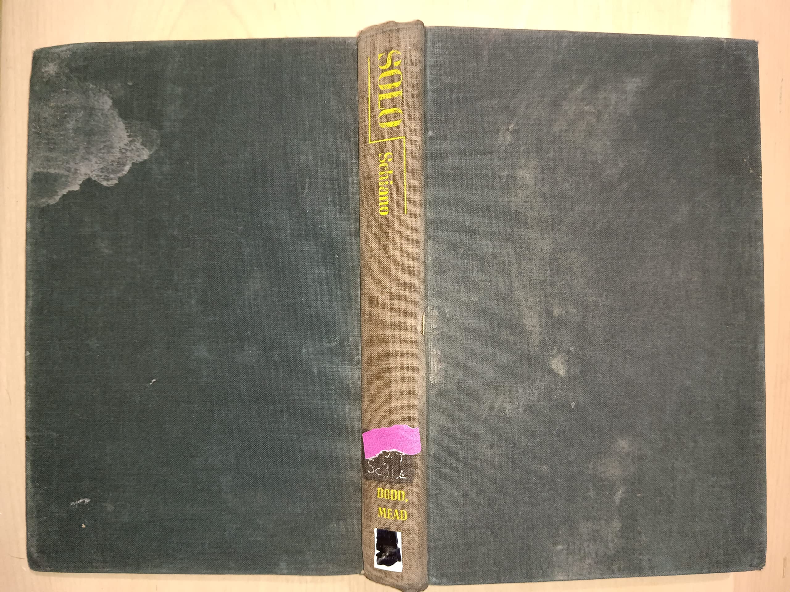 Solo: Self-portrait of an undercover cop (Hardcover)