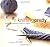 Knitting Pretty by Kris Percival (2002-09-01)