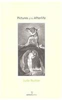 Pictures of the Afterlife (Paperback)