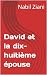 David et la dix-huitième ép...
