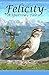 Felicity~ A Sparrow's Tale by Loralee Evans (2014-10-24)