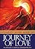 Journey of Love by Alana Fairchild (2014-03-04)