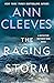 The Raging Storm (Two Rivers #3)
