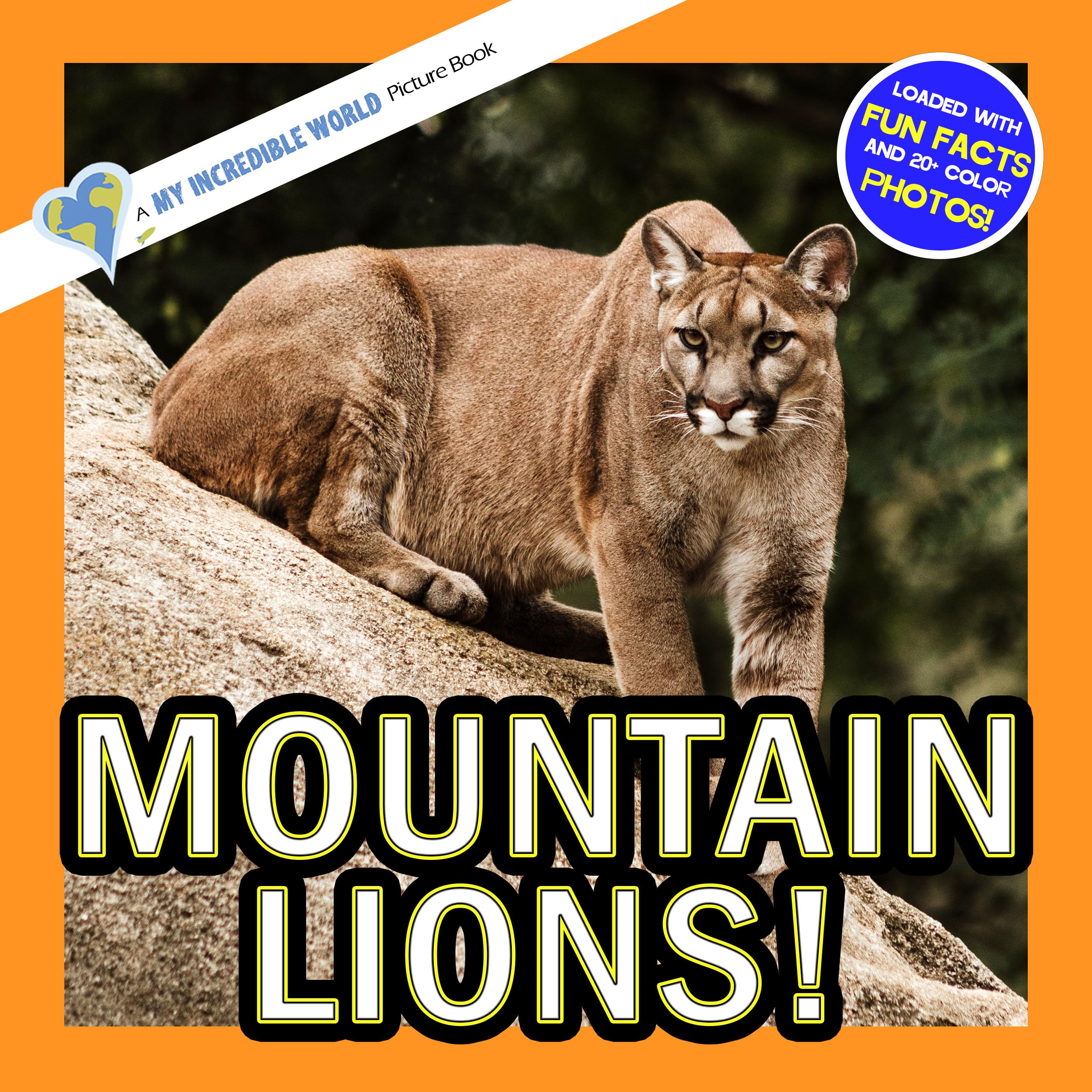 Mountain Lions!: A My Incredible World Picture Book for Children (My Incredible World: Nature and Animal Picture Books for Children)