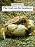 The Crab on the Seashore (Animal Habitats)