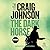 The Dark Horse (Walt Longmire, #5)