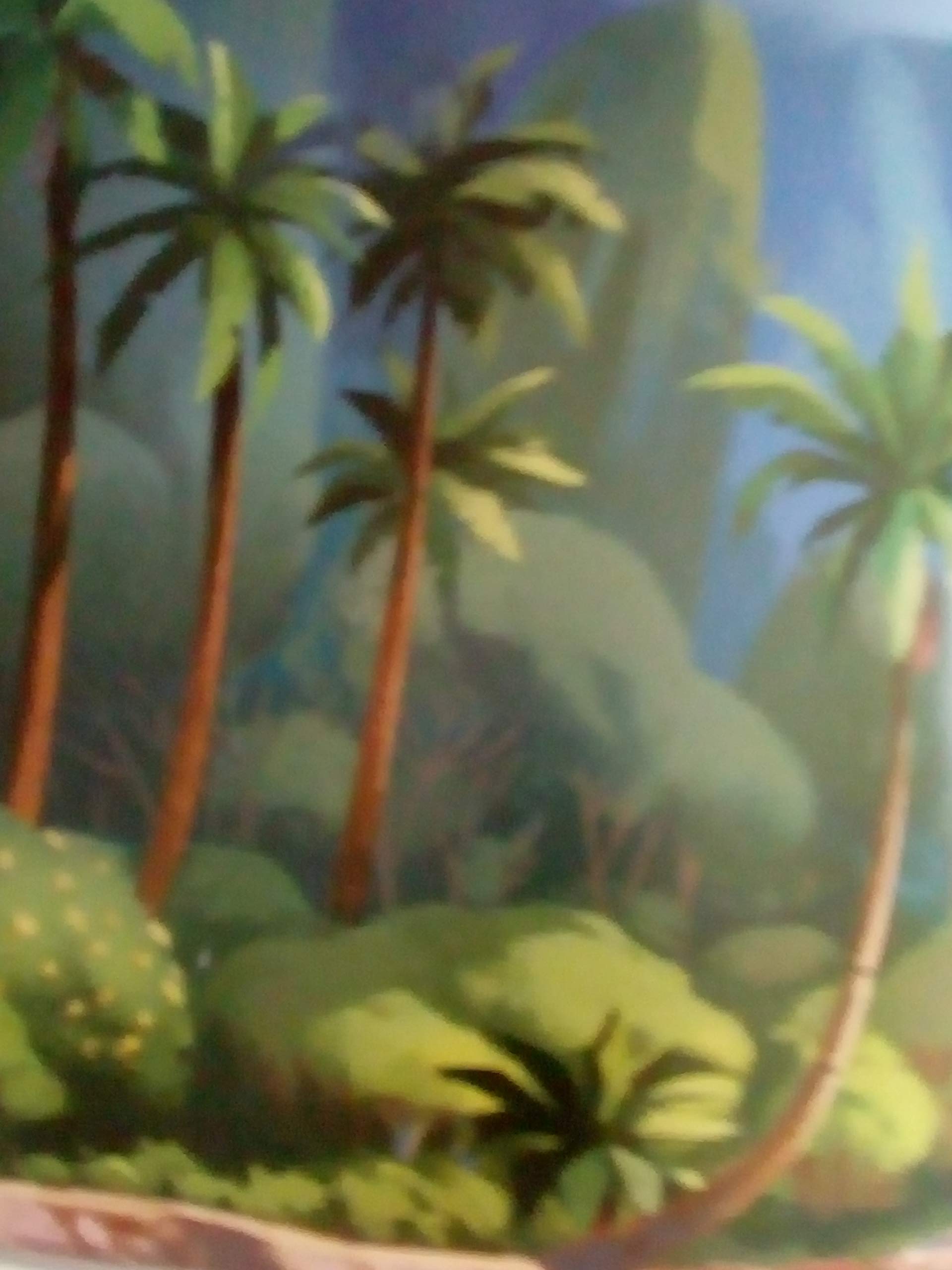 Moana Disney (Hardcover)