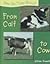 From Calf to Cow