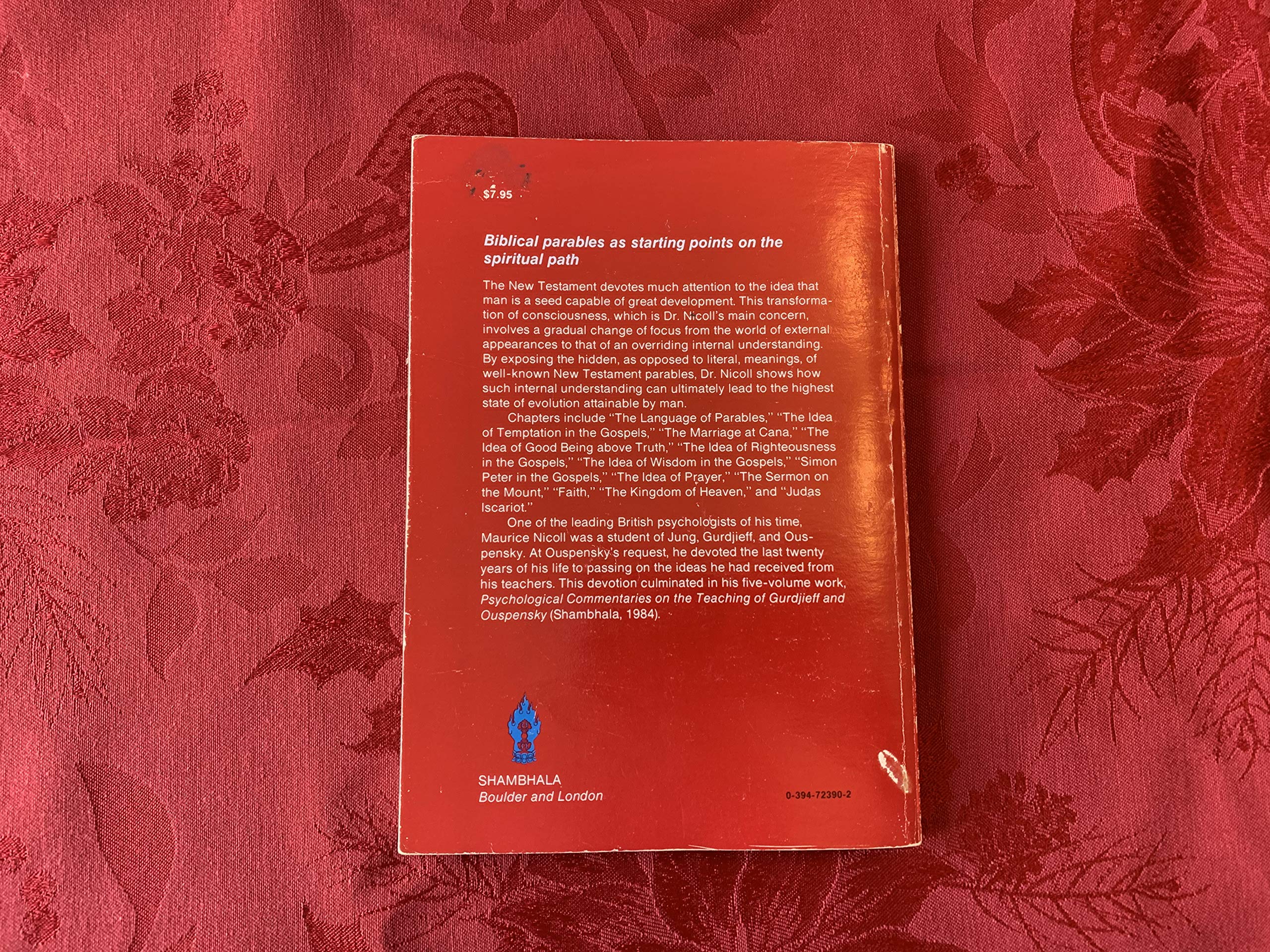 The New Man (Paperback)