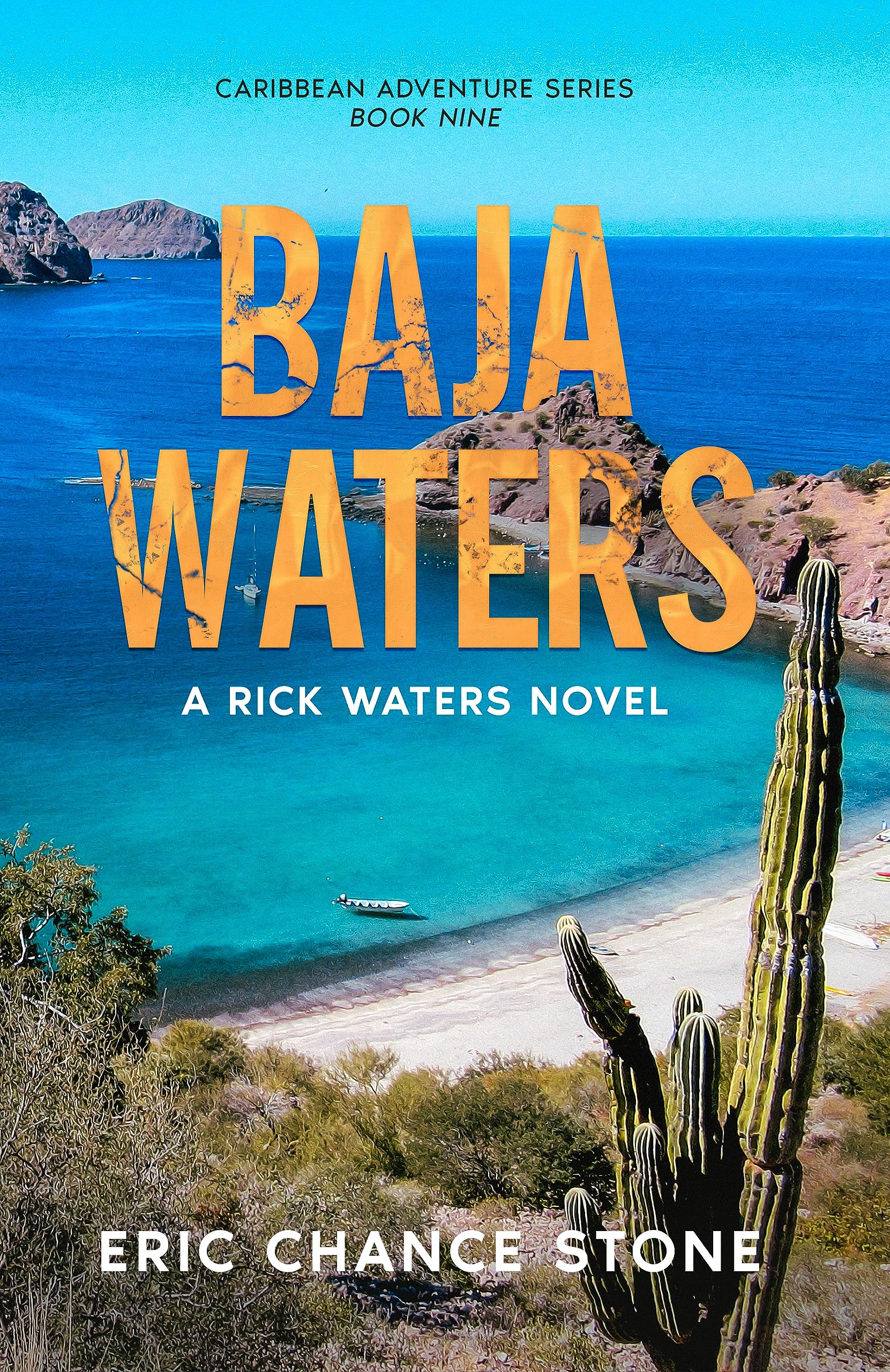 Baja Waters: A Rick Waters Novel (Caribbean Adventure Series Book 9)