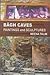 Buddhist World Press Bagh C...