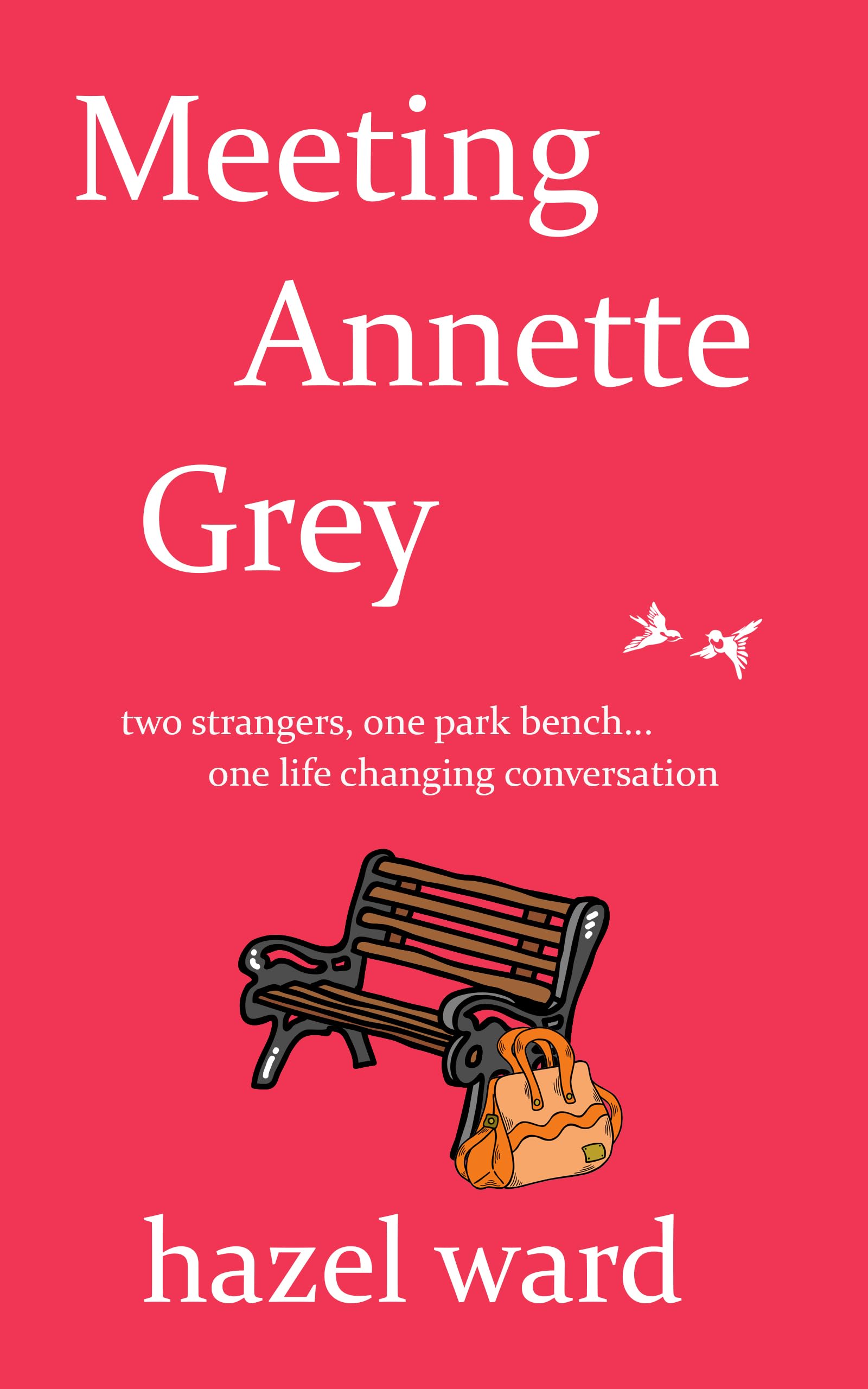 Meeting Annette Grey (The Netta Wilde Series)
