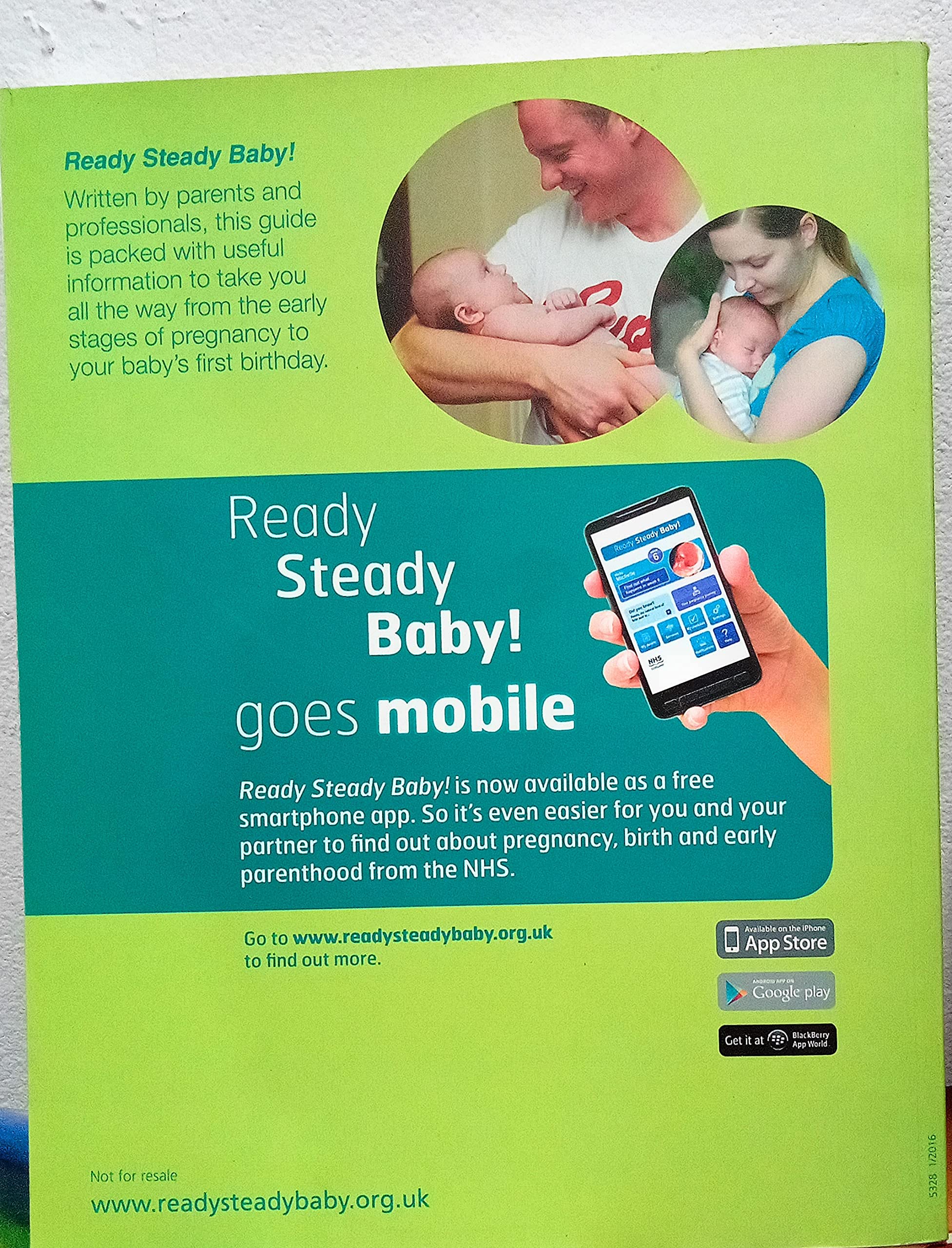 Ready Steady Baby!: Your Complete Guide to Pregnancy, Birth and Parenthood (Paperback)