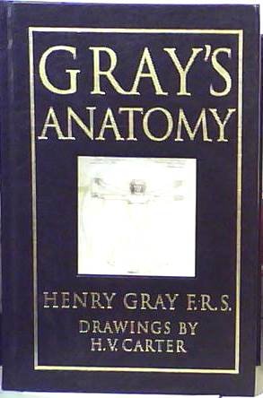 Gray's Anatomy 15th Edition (Facsimile of 1901 Edition)
