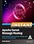 Instant Apache Camel Message Routing [Instant]