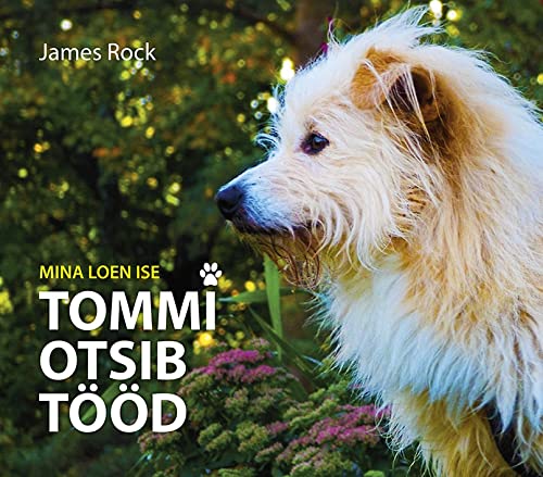 Tommi otsib tööd (Paperback)