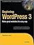 Beginning WordPress 3 1st (first) edition Text Only